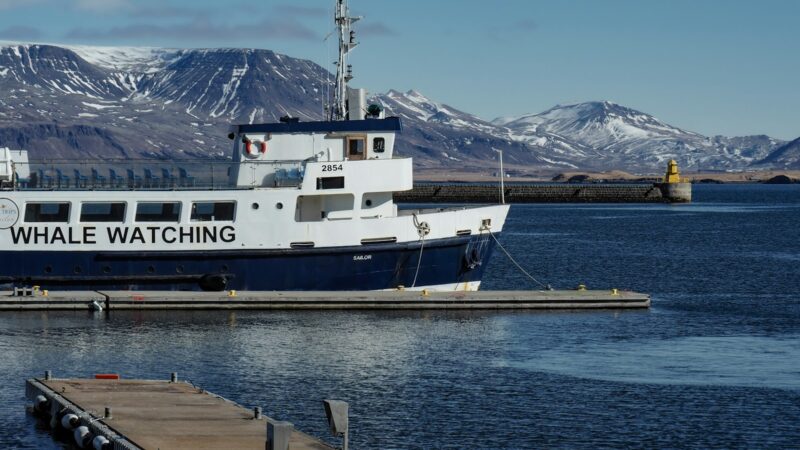 Boat moored at a dock
