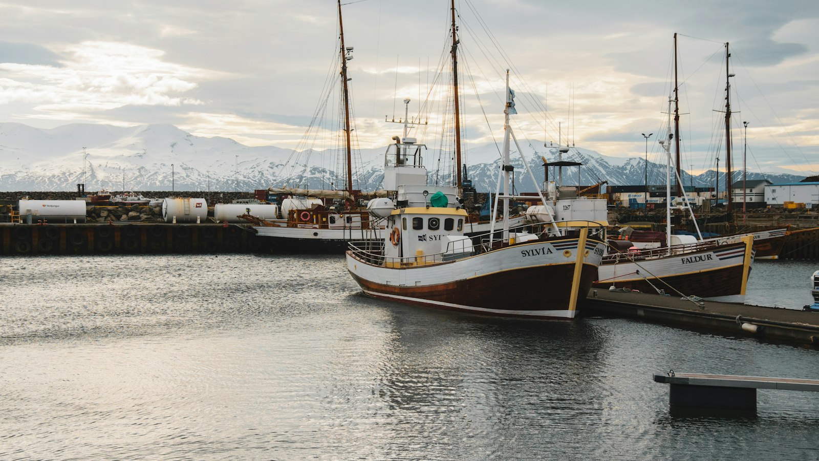 Fishing boats tied up in a small harbour
