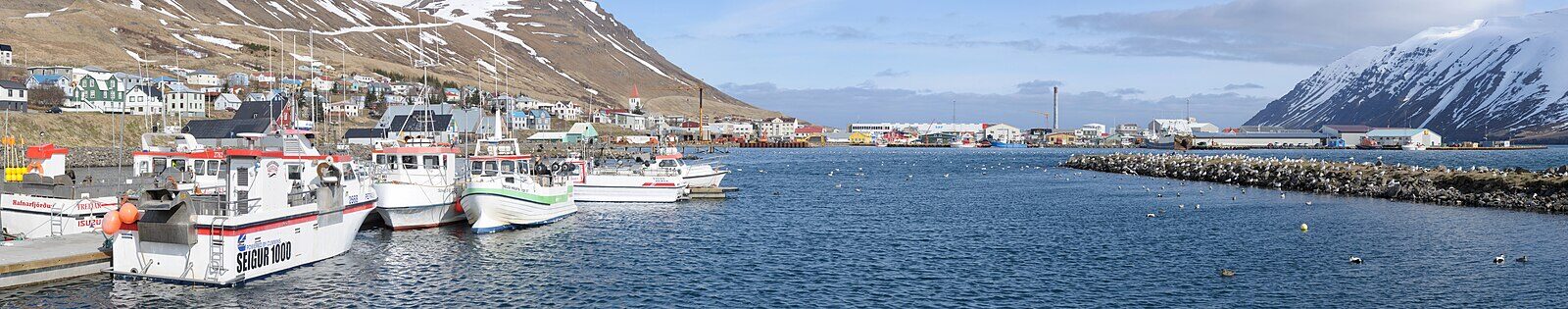 Harbour with moored fishing boats and houses on the hillside (Fjallabyggð)