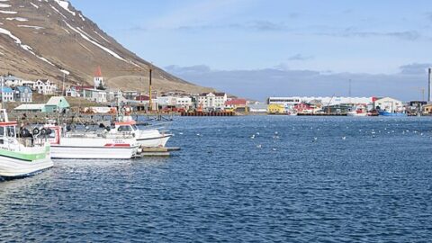 Harbour with moored fishing boats and houses on the hillside (Fjallabyggð)