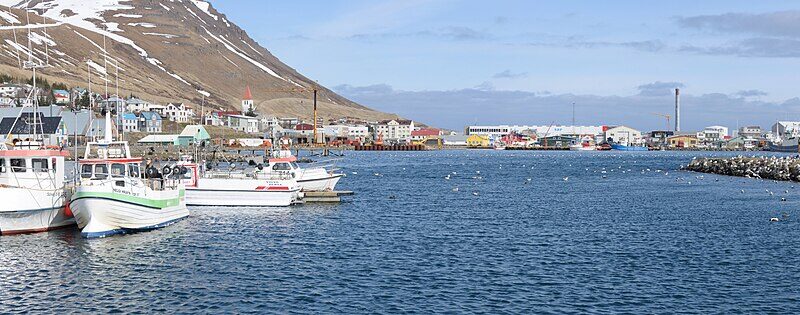 Harbour with moored fishing boats and houses on the hillside (Fjallabyggð)