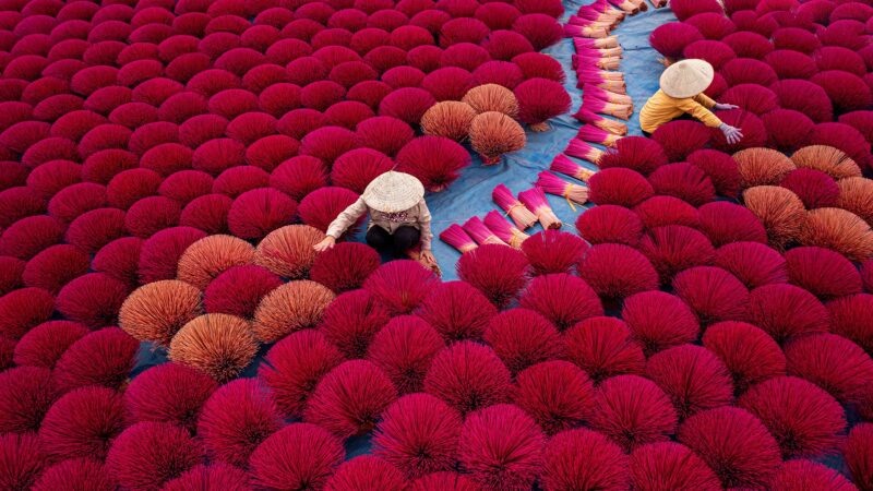 Rows of red-dyed incense bundles with workers among them (Hanoi)