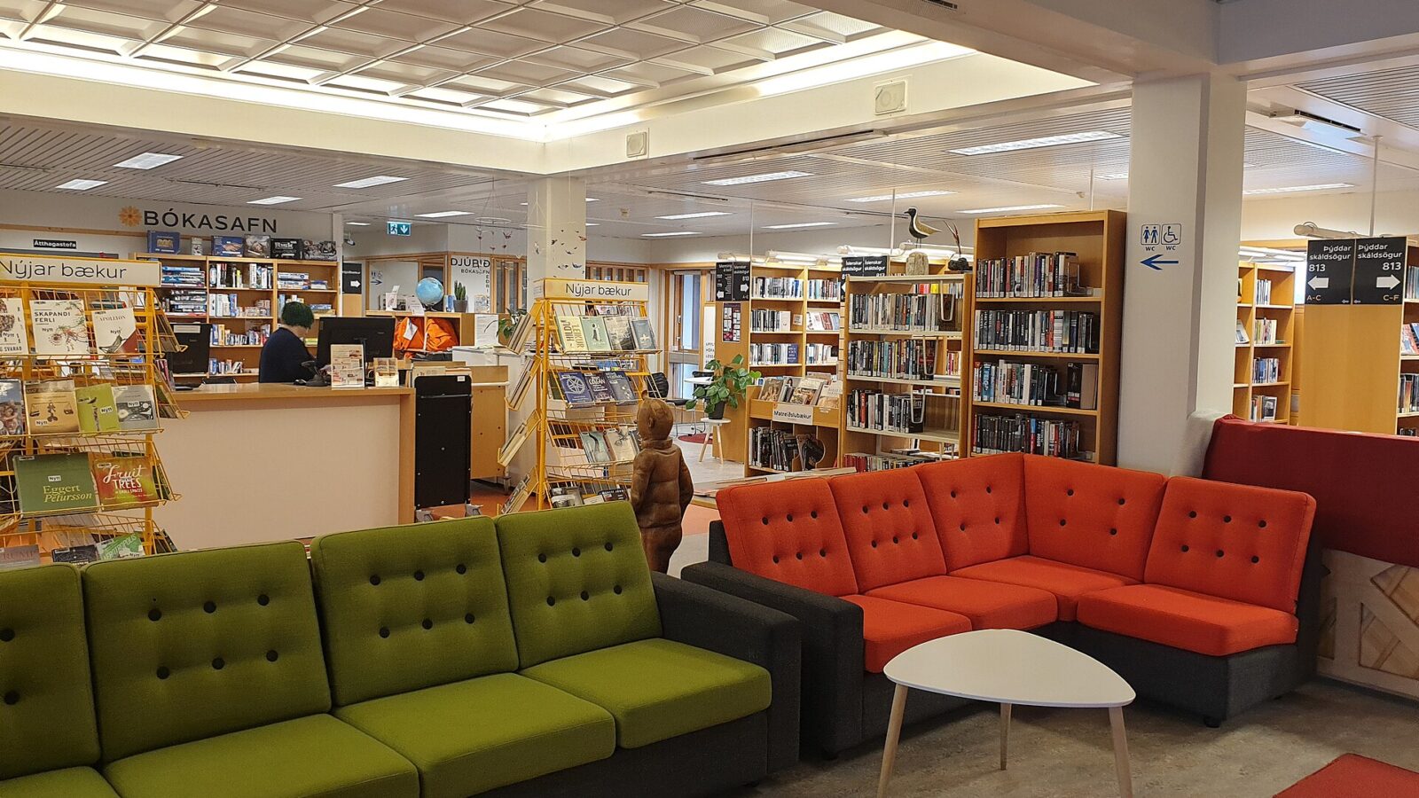 Library interior with sofas and book shelves