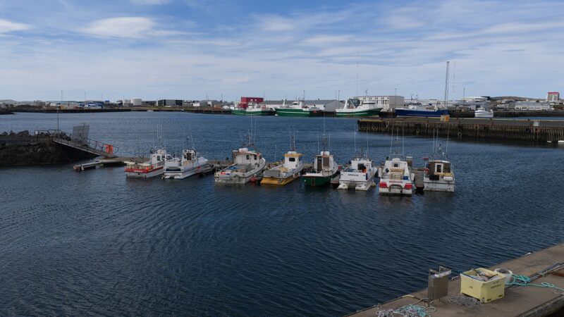 Harbour with fishing boats and industrial buildings (Grindavík)