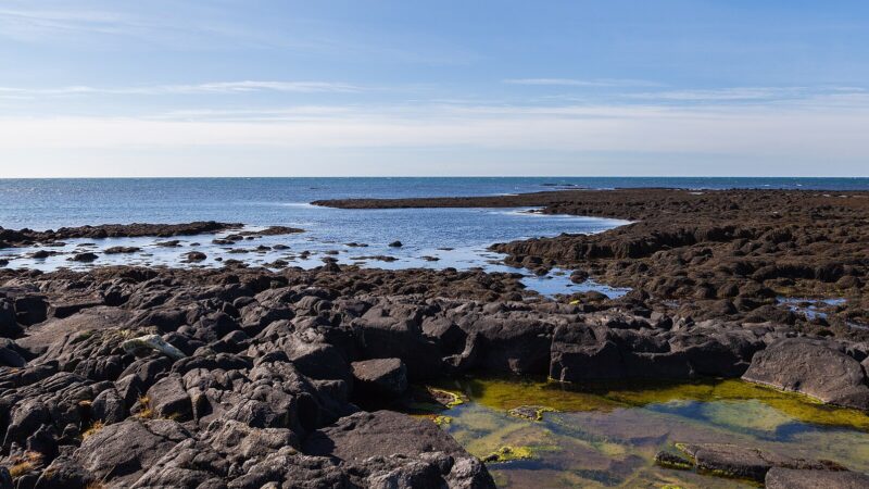Rocky coastline and tidal pools under a clear sky (Reykjanes)