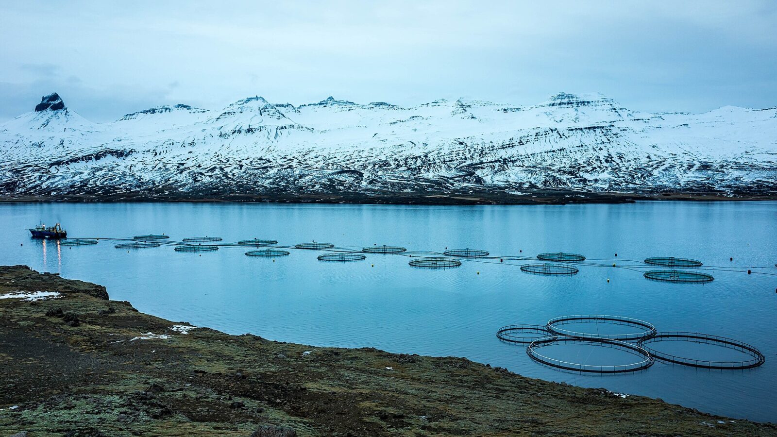 Fish farm cages and a service boat in a fjord