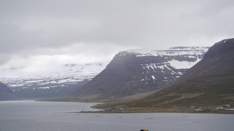 Coastal fjord with steep mountains and a narrow shoreline