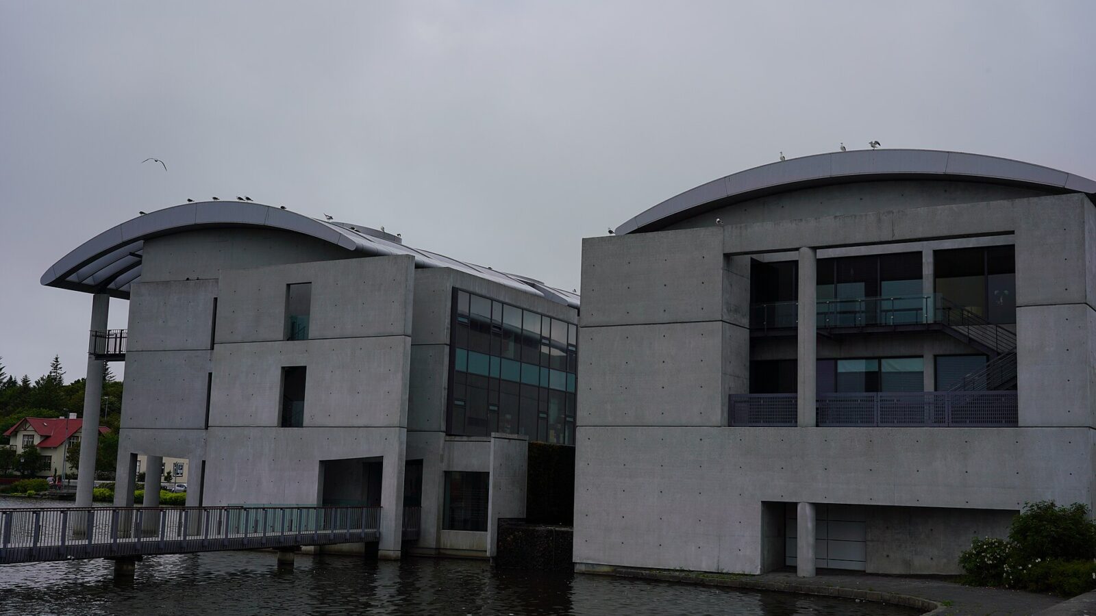 Modern concrete building with curved roofs and birds on the parapet (Reykjavík)