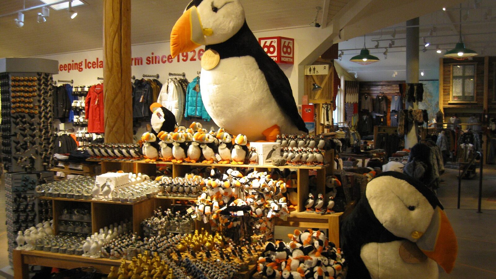 Souvenir shop display of puffin plush toys