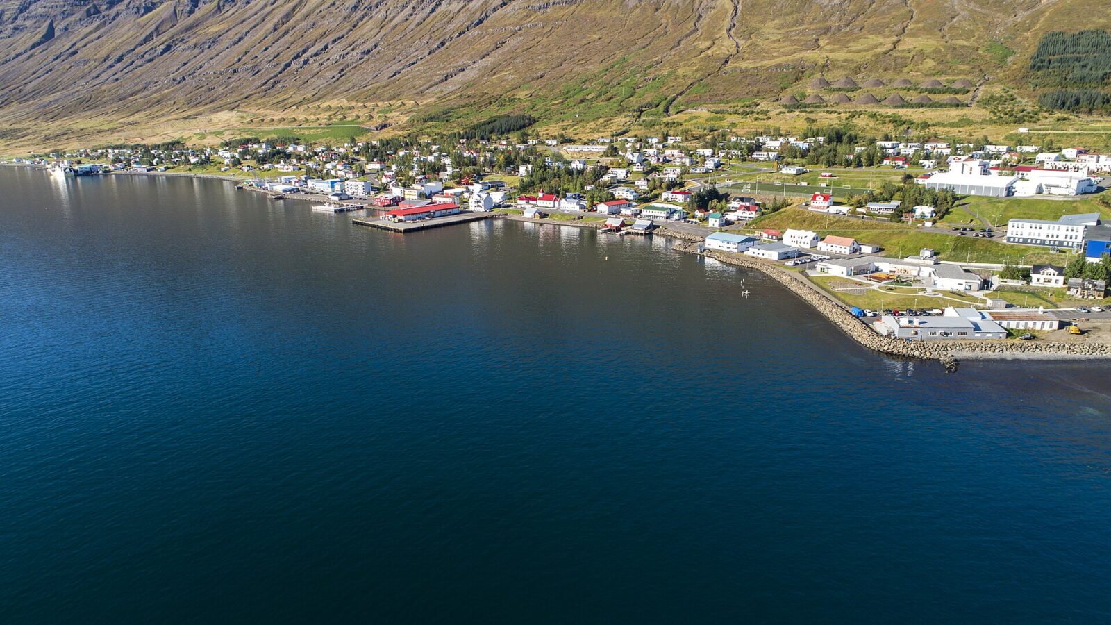 Aerial view of the harbour and quay with buildings (Neskaupstaður)