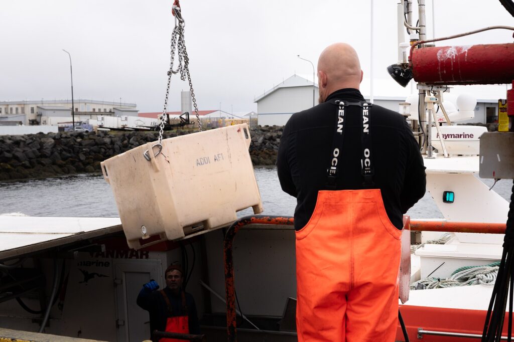Fisherman on a boat at the harbour with quay in background (Sandgerði)