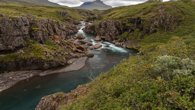 Narrow river cutting through a rocky green canyon with distant peaks (Fjarðabyggð)