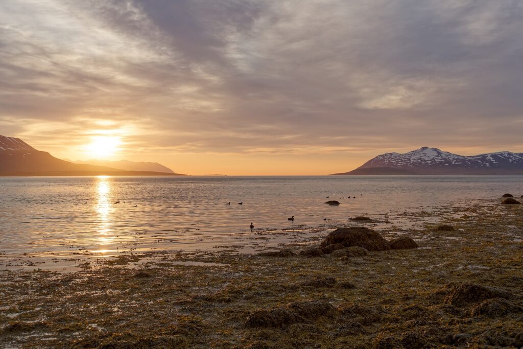 Sunset over a tranquil fjord with mountains and waterbirds (Svalbarðsstrandarhreppur)