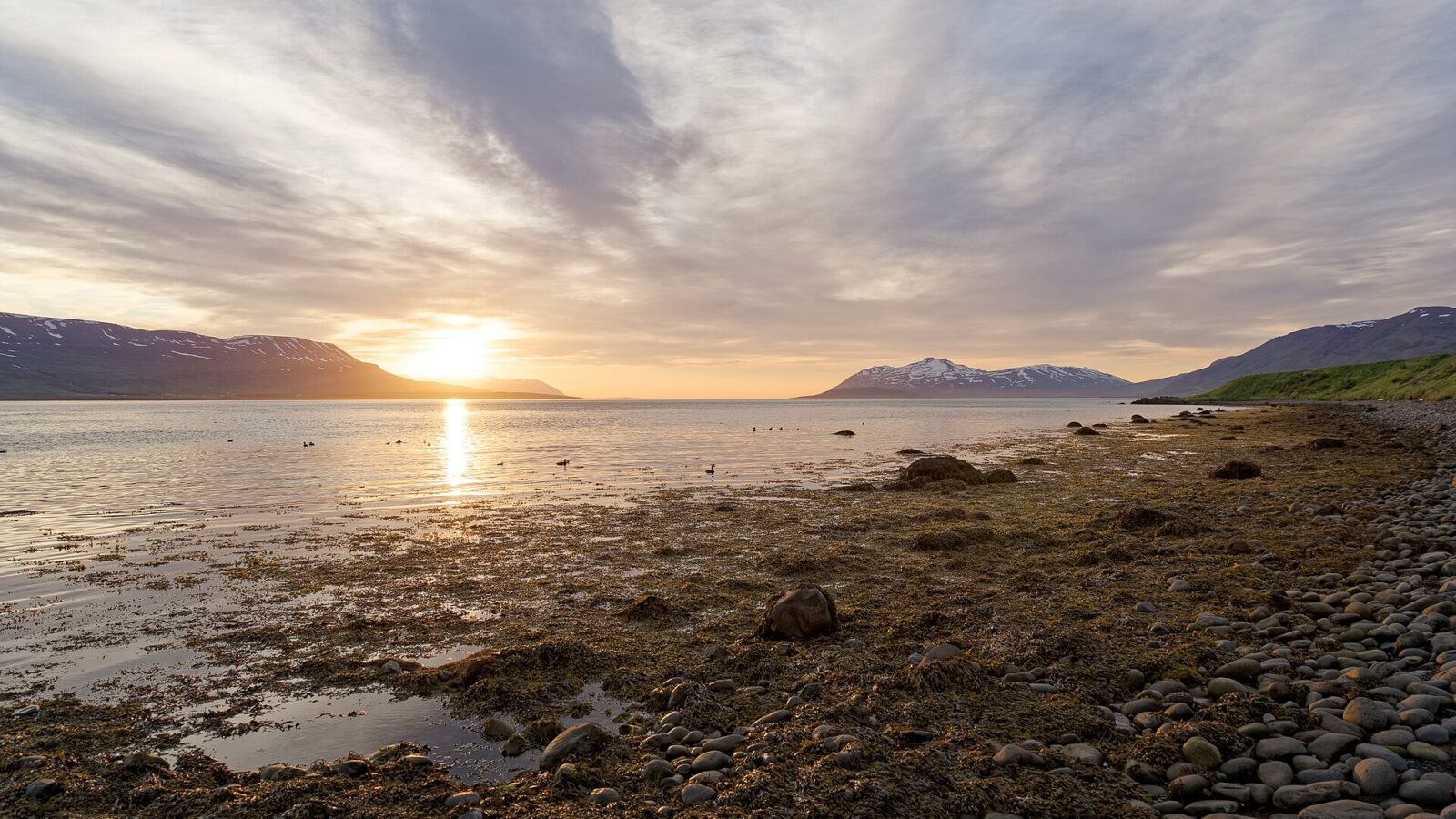 Rocky shoreline and calm fjord with sun low over the mountains (Svalbarðsstrandarhreppur)