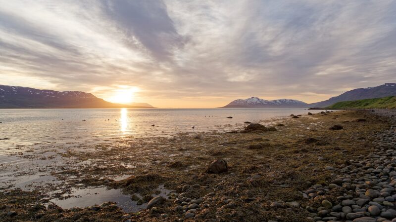 Rocky shoreline and calm fjord with sun low over the mountains (Svalbarðsstrandarhreppur)