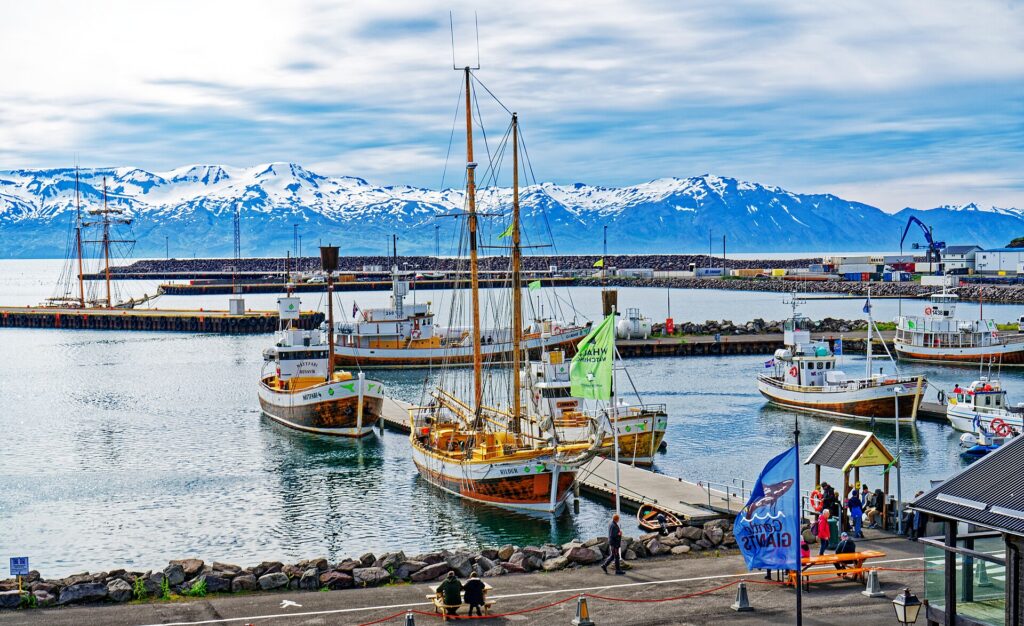 +Husavik ist ein Zentrum für die Wahlbeobachtung. 02 (Norðurþing)