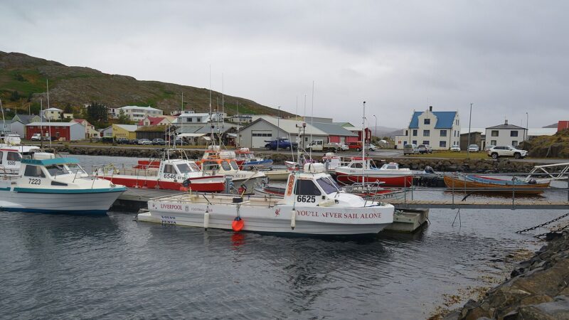 Fishing boats moored in the harbour with waterfront buildings (Hólmavík)