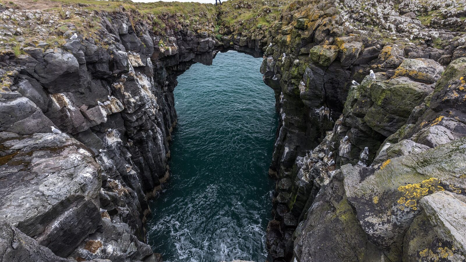 Sea arch between basalt cliffs with a person standing on the grassy rim (Snæfellsbær)