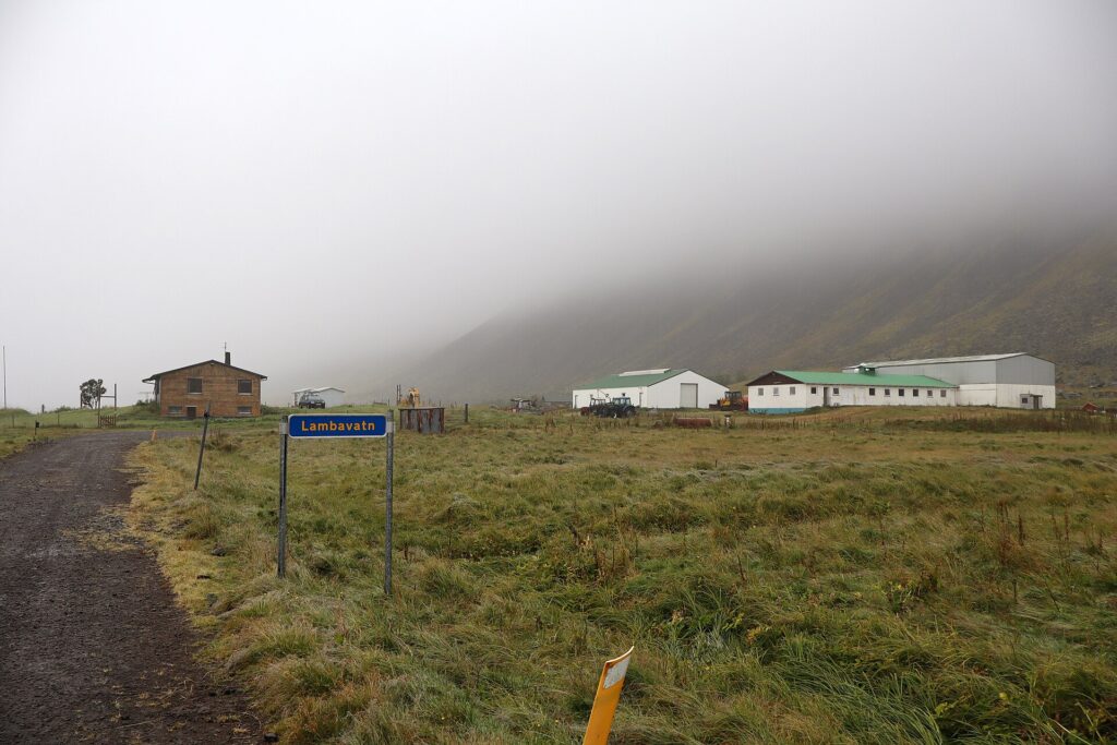 Small cluster of buildings and a road sign beside grassy foreground (Vesturbyggð)