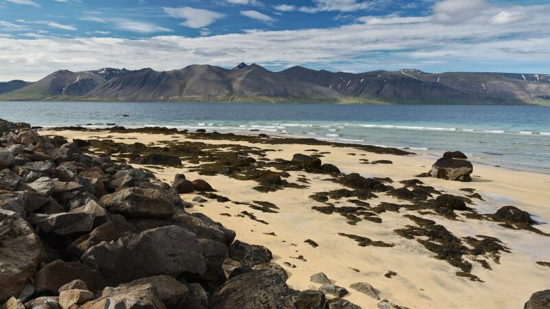 Sandy shore with rocky foreground and mountains across a blue fjord (Vesturbyggð)