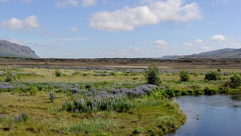 Meandering river through wetlands with distant low mountains (Ásahreppur)