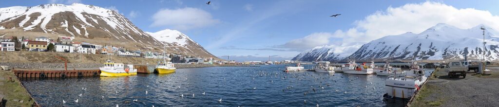 Wide harbour view with boats, sea and snow‑topped mountains (Fjallabyggð)