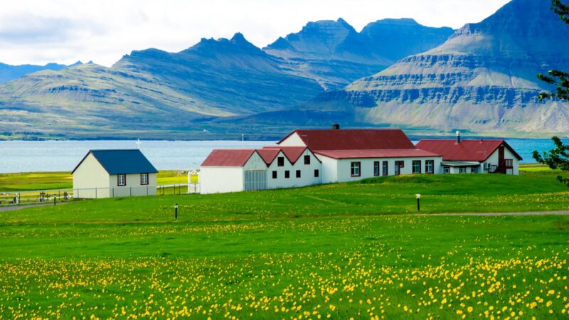 White houses beside the water