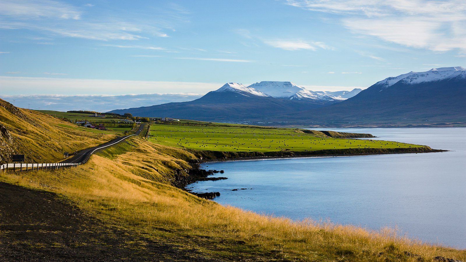Field and mountain beside a lake
