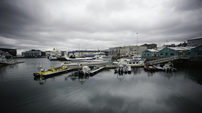 Boats docked at a pier